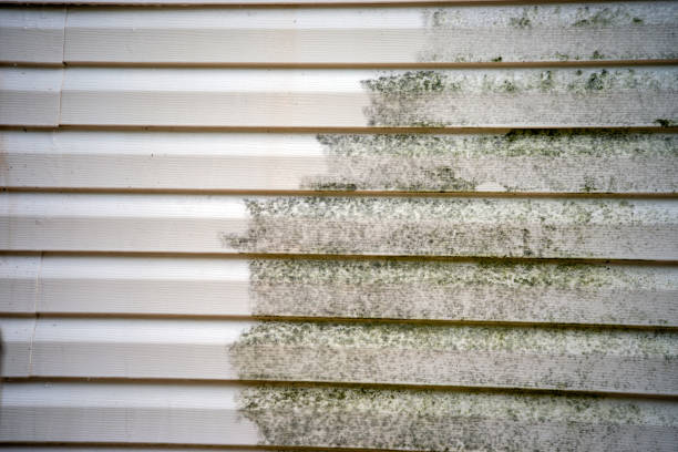 Professional Siding Installation & Repair in Meyers, CA